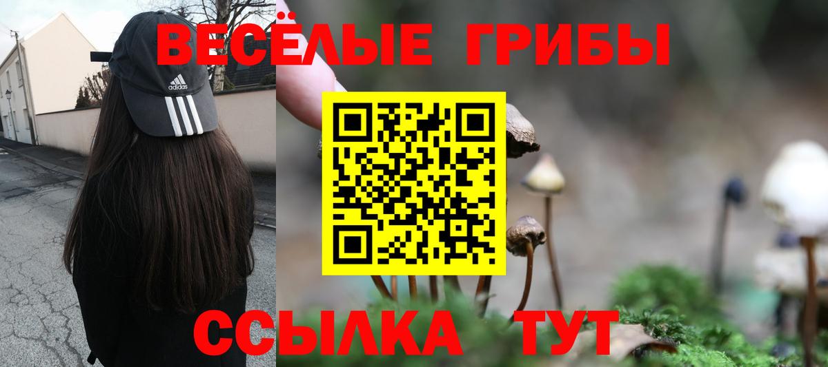 Лысьва  Псилоцибиновые грибы прущие грибы  Вход с VPN  Галлюциногенные грибы Psilocybe 